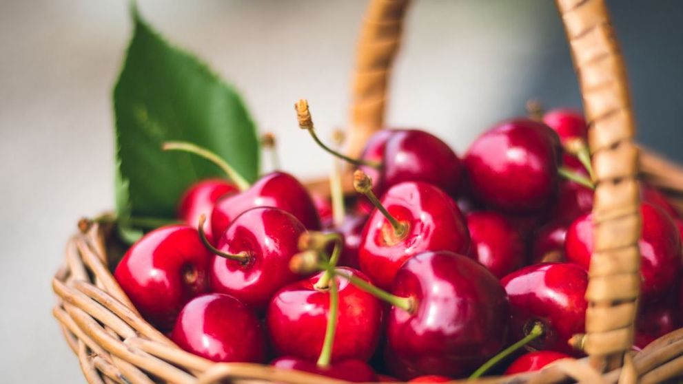 Solutia horticultorilor pentru a salva pomii fructiferi romanesti