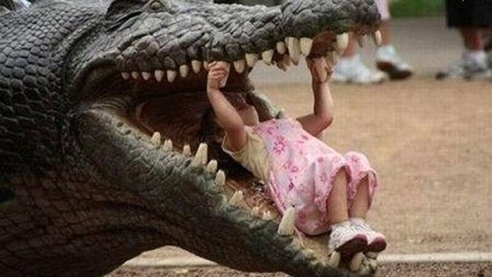 Vezi o serie de imagini care iti vor taia cu siguranta respiratia!
