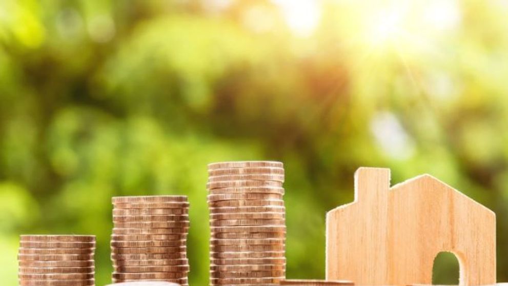 (P) Prețurile de transfer și impactul acestora în apariția și dezvoltarea companiilor multinaționale