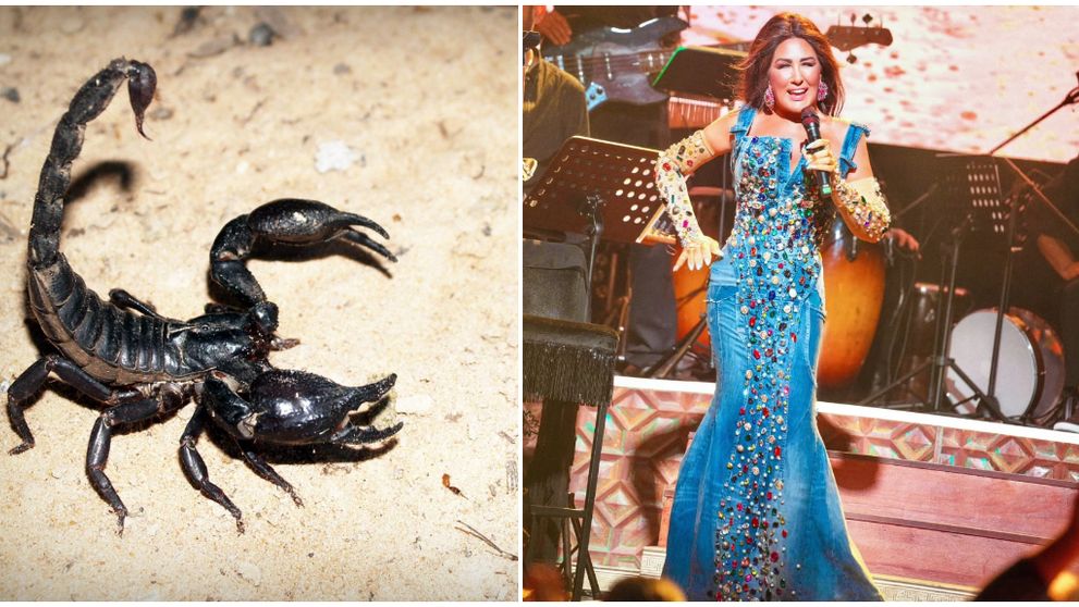 O cântăreață de muzică pop a fost înțepată de un scorpion. A fost nevoită să-și anuleze concertele