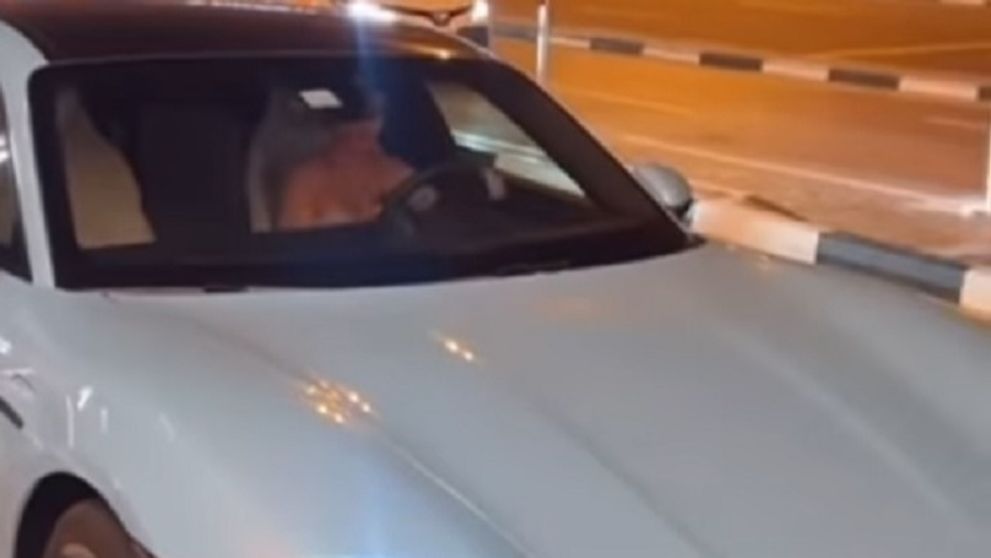 Vedetă din România, la un pas de moarte în Dubai. Ce a pățit după ce s-a urcat la volan