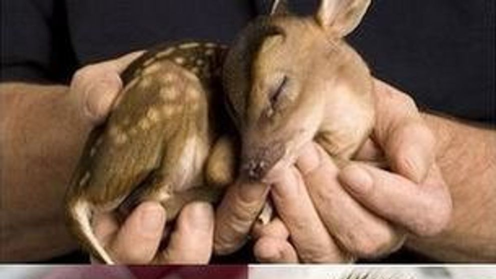 Animalute care iti aduc zambetul pe buze! GALERIE FOTO