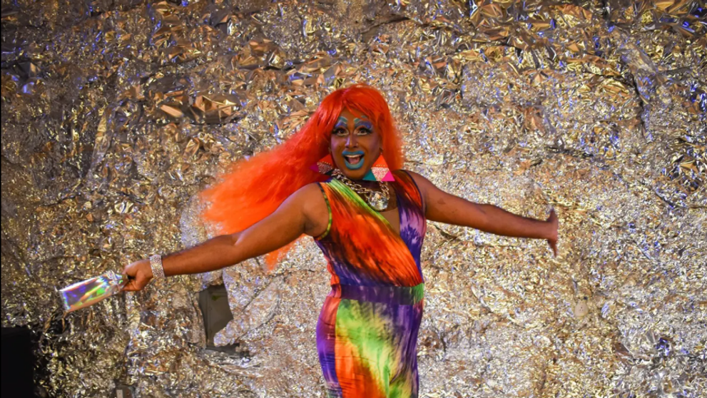 Universitatea Harvard a angajat un drag queen ca profesor. Ce materie o să predea aceasta