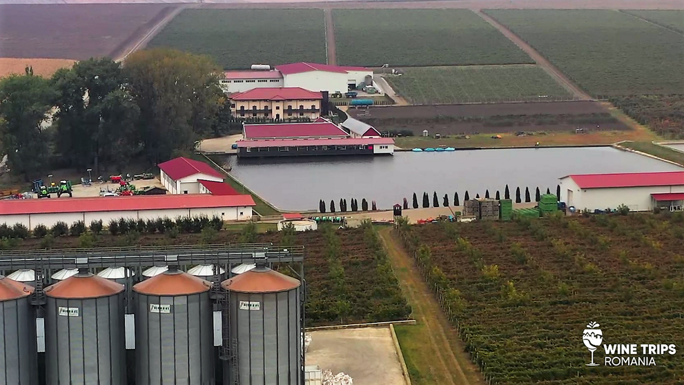 Wine Trips România | Crama Hermeziu, ținutul vinurilor rose cu spirit tânăr