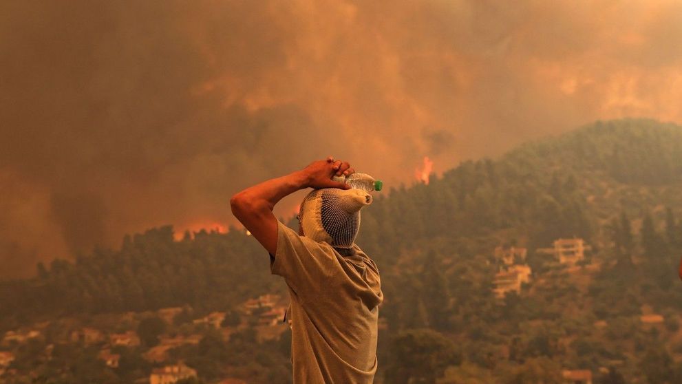 Un măslin vechi de 2500 de ani, distrus de incendiile din Grecia