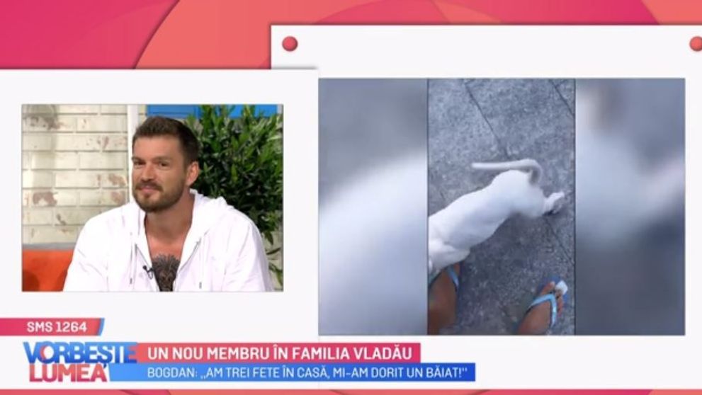 Gina și Bogdan Vlădău, despre noul membru al familiei