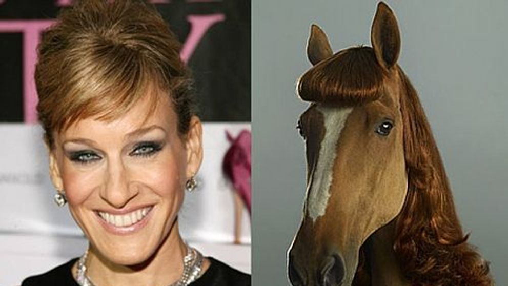 Celebritatile si suratele lor din lumea necuvantatoarelor. Asemanari super amuzante intre vedete si animale