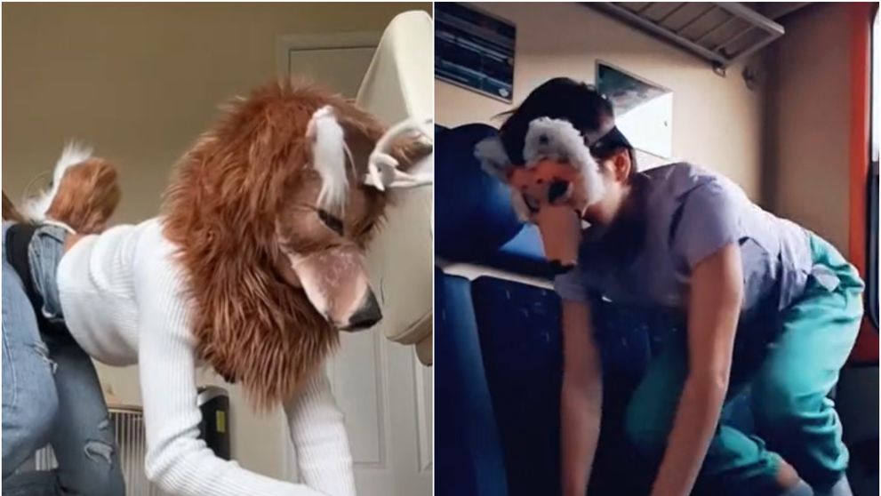 Mai mulți elevi se identifică drept animale! Vin la școală costumați și urcă scările în patru labe: „Își pun urechi, cozi...”