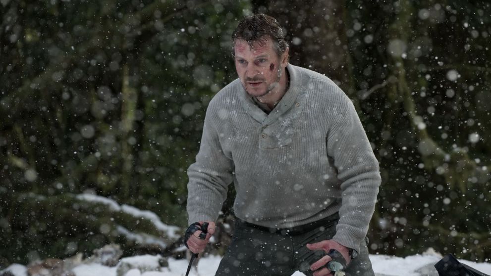 Baietii lui Liam Neeson, copii fidele ale tatalui lor. Cum au fost surprinsi alaturi de starul de cinema