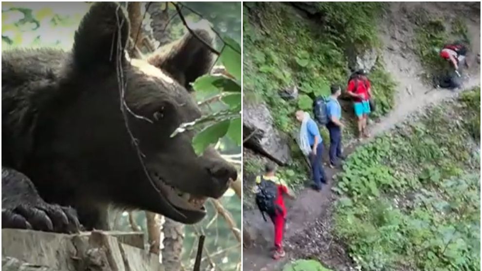 Durere fără margini în familia Mariei, tânăra ucisă de urs pe traseul Jepii Mici! Mama sa a ridicat trupul neînsuflețit al fiicei sale de la INML