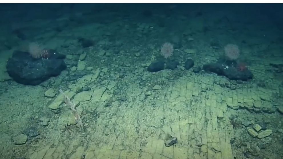 VIDEO Oamenii de știință au descoperit ”un drum de piatră” către ”Atlantida”, pe fundul oceanului