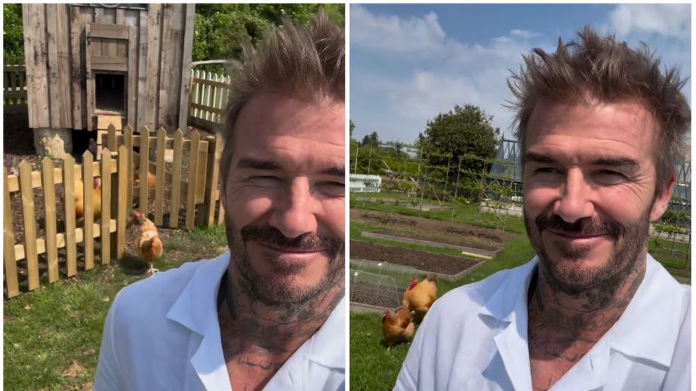 David Beckham, video viral de peste 31 de milioane de vizualizări pe Instagram! Cum s-a filmat în curte cu găinile lui: „Toate puicuțele aleargă după tine ca de obicei...”