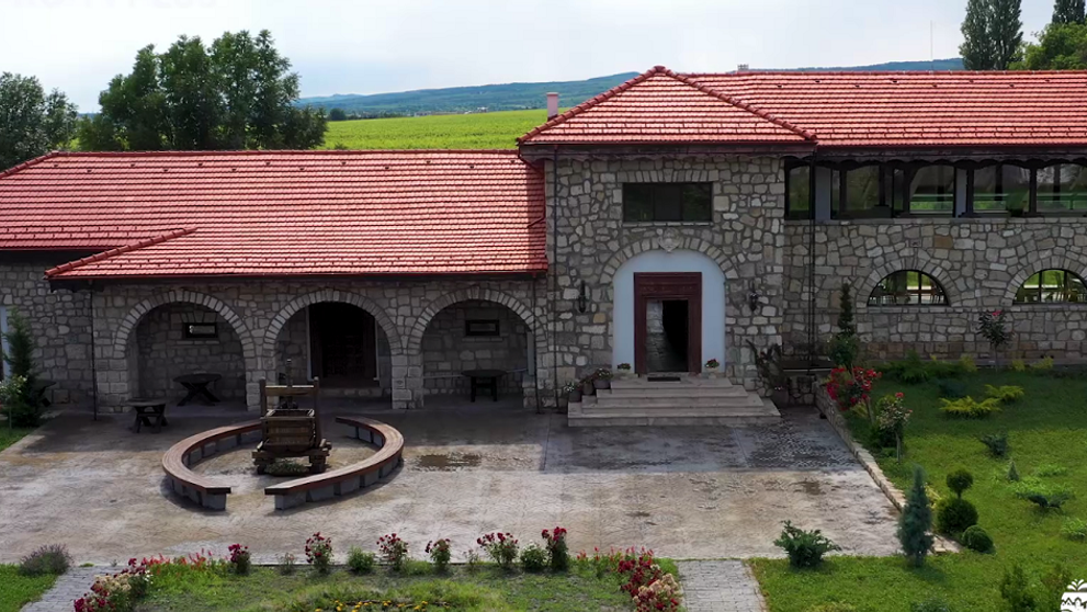 Wine Trips România | Domeniul Tohani, din dragoste pentru Feteasca neagră