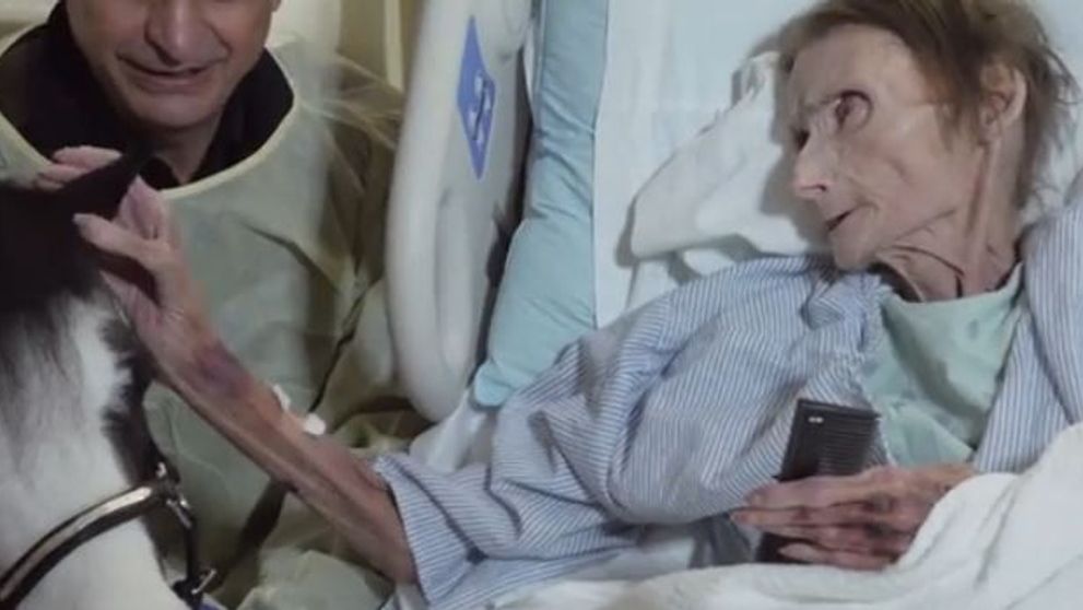 Ultima dorinta a unei batrane bolnave de cancer a emotionat pana la lacrimi. Povestea ei e cu adevarat speciala