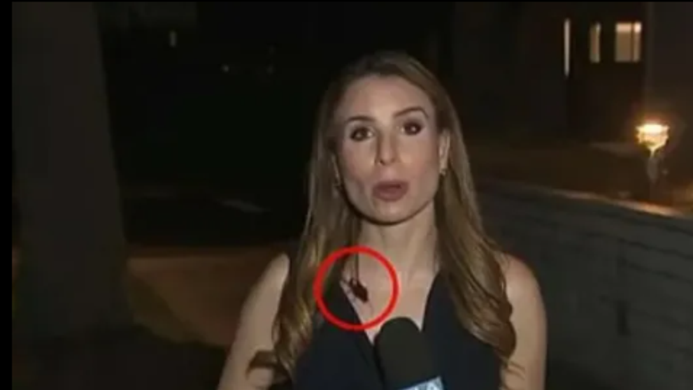 În timp ce transmitea în direct, un gândac de bucătărie imens s-a urcat pe gâtul ei. Cum a reacționat prezentatoarea TV, spre surpriza telespectatorilor