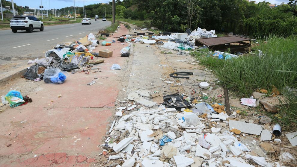 Peste un milion de români trăiesc aici, turiștii o adoră… dar o țigară aruncată pe jos te poate costa o avere! În ce țară europeană amenzile pentru gunoiul aruncat îți taie respirația