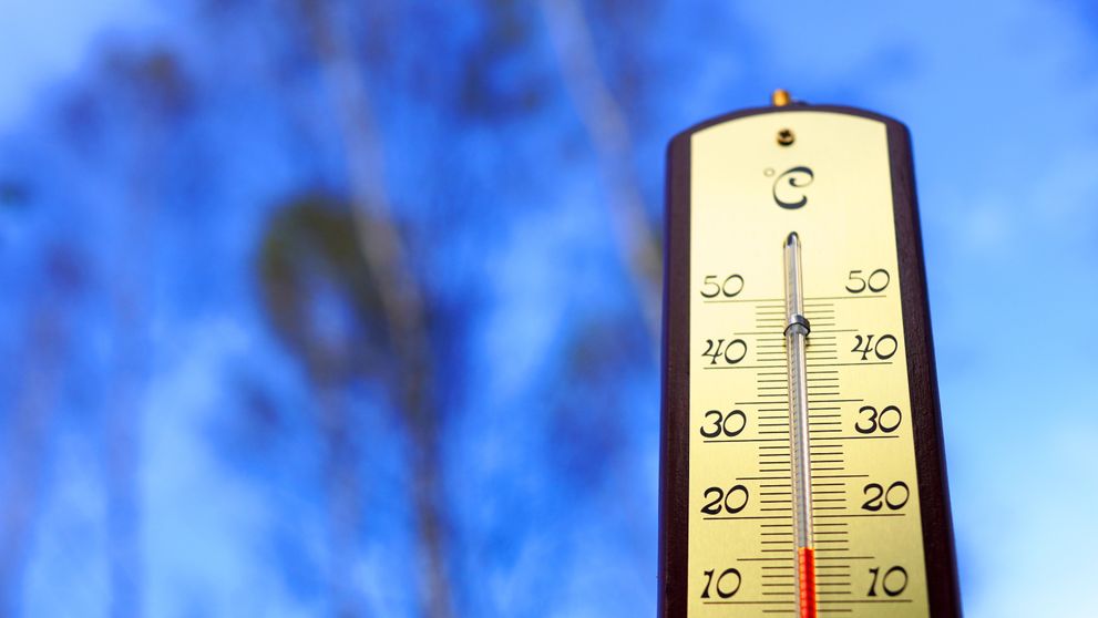 Când vine primăvara în România? De când cresc temperaturile. Anunțul făcut de ANM
