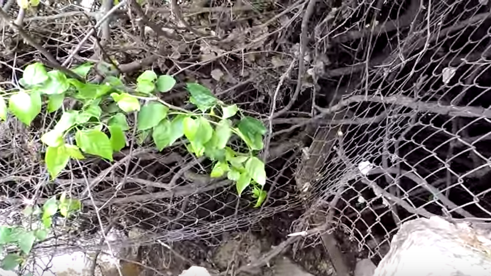 Au auzit zgomote ciudate, dar nu au banuit niciodata ca vor descoperi asa ceva. Ce au gasit