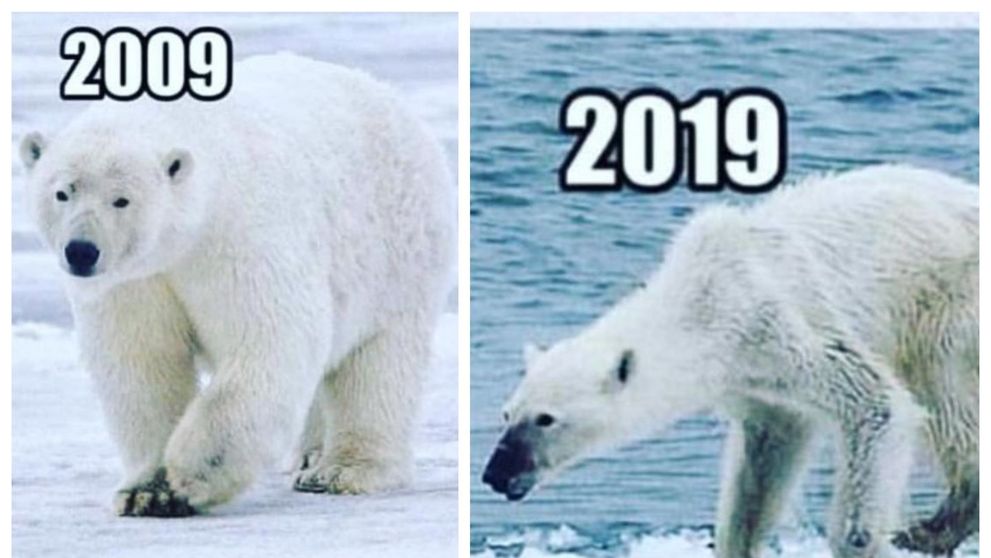 10 year challenge: cele mai răscolitoare memeuri de pe internet