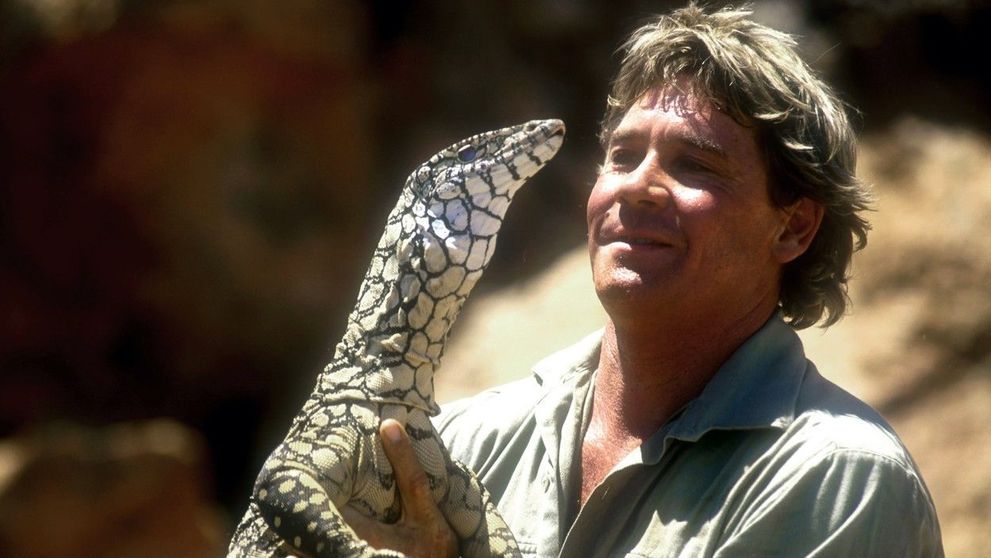 Un desen cu Steve Irwin, în Rai, alături de animalele din Australia, a devenit viral