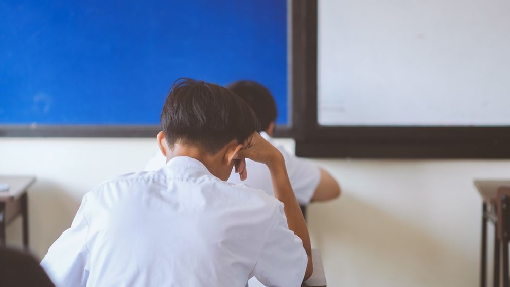Subiecte BAC Sociologie 2026. Când apar subiectele și baremul de corectare