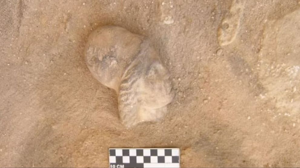 Mormântul Cleopatrei, descoperit? Unde ar putea fi locul de veci al ultimului faraon al Egiptului