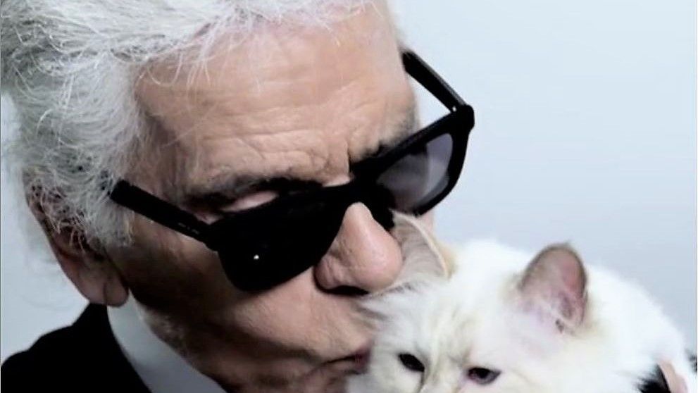 Choupette, povestea incredibilă a celei mai bogate pisici din lume. Stăpânul ei voia să se însoare cu ea