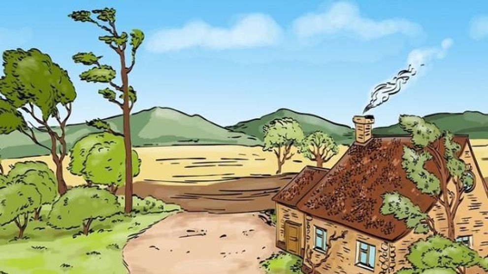 Doar 1 persoană din 5 poate găsi eroarea din această imagine. Tu ai observat-o?