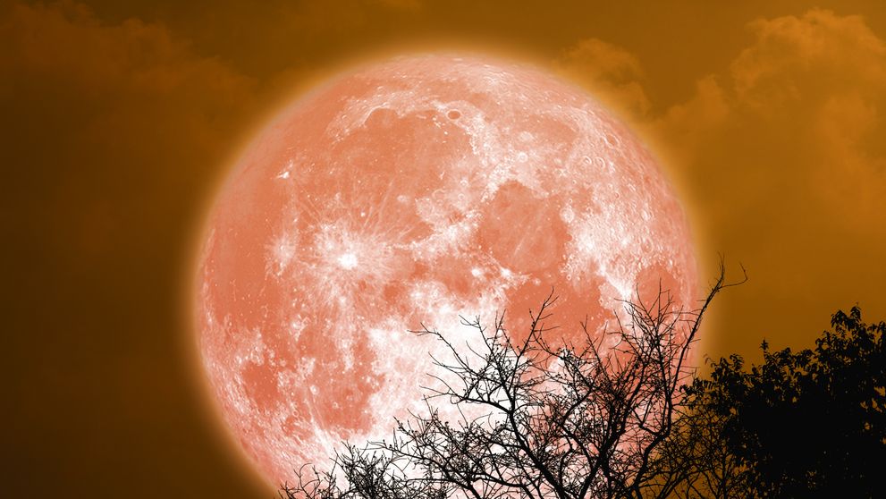 Superluna sturionului aduce val de noroc pentru patru zodii. August 2025 devine luna marilor reușite