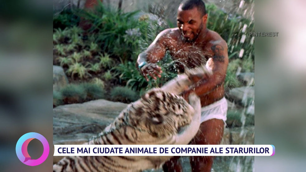 Cele mai ciudate animale de companie ale starurilor de la Hollywood