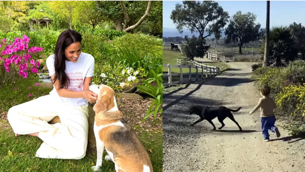 Ce spun Harry și Meghan despre cățelușa lor, al cărei nume este o mare înjurătură românească. ”Când nu este obraznică...”