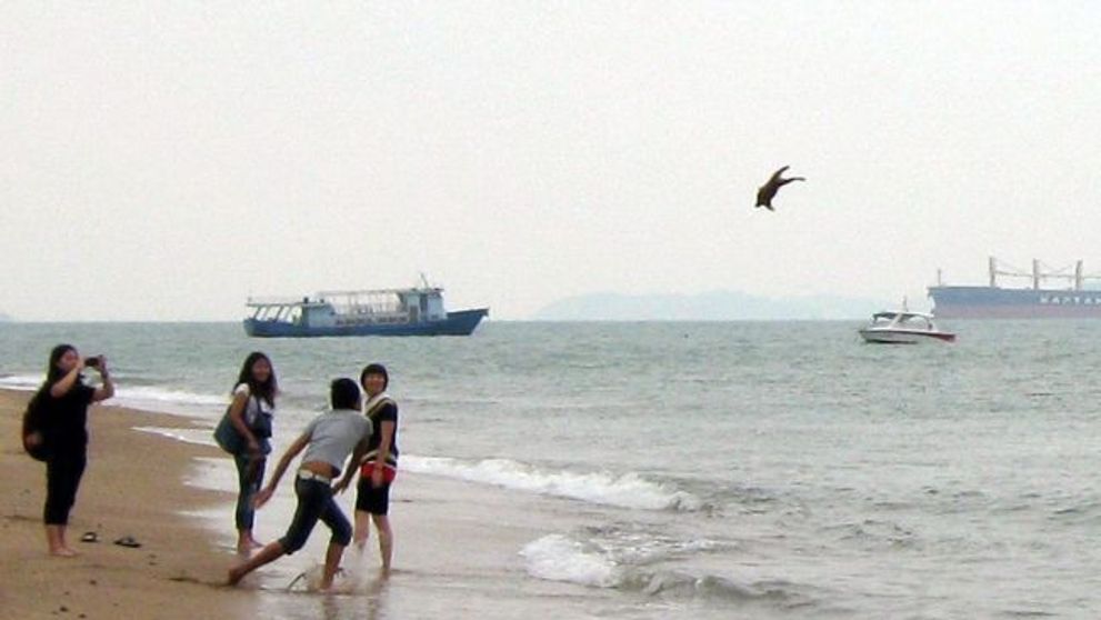 Ce suflet are de a putut sa faca asa ceva? Un barbat a aruncat de mai multe ori un catelus in mare