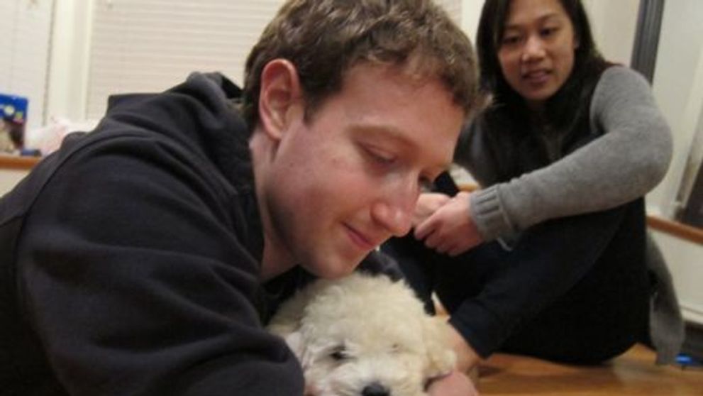 Mark Zuckerberg a implinit 29 de ani. Zece lucruri amuzante despre co-fondatorul Facebook, un miliardar atipic
