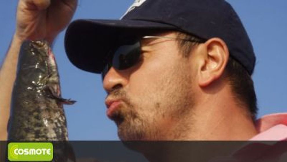 Horia Brenciu, <span style=