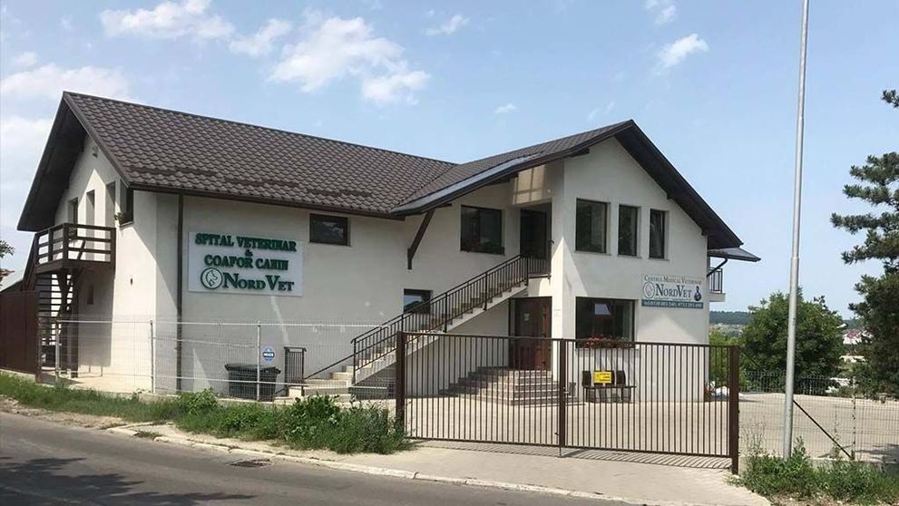 (P) Un cabinet veterinar Suceava promite servicii de calitate, la prețuri accesibile