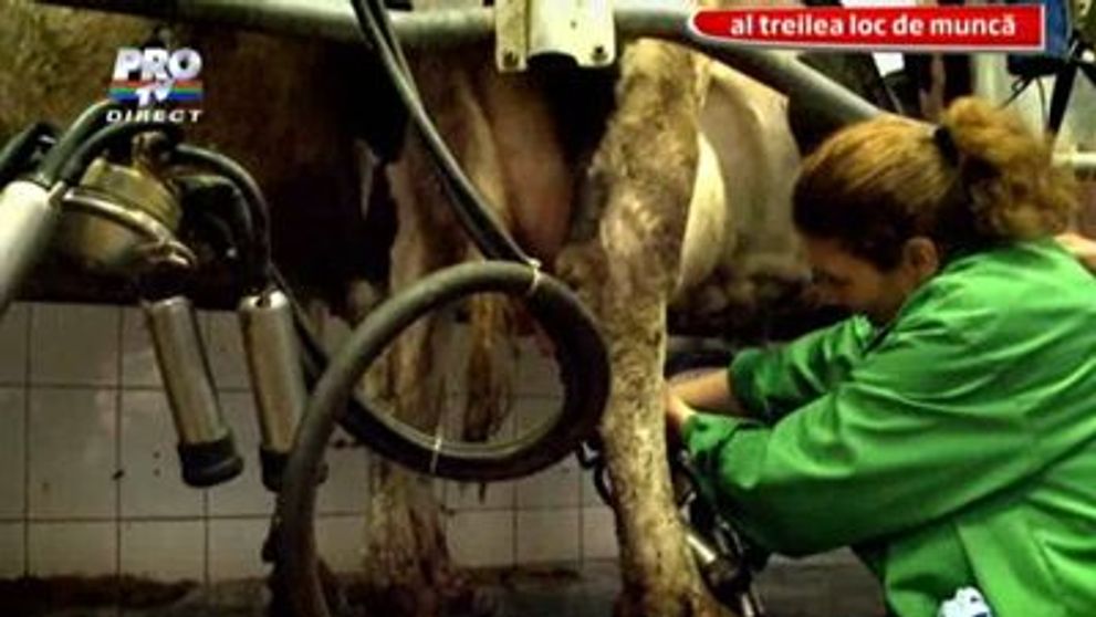 Ioana Tufar, la ferma de animale. Vezi cum s-a descurcat!
