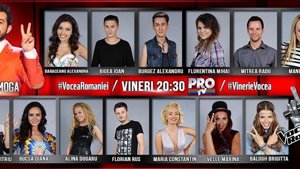 Echipa lui Marius Moga mai are nevoie de un membru pentru urmatoarea etapa!