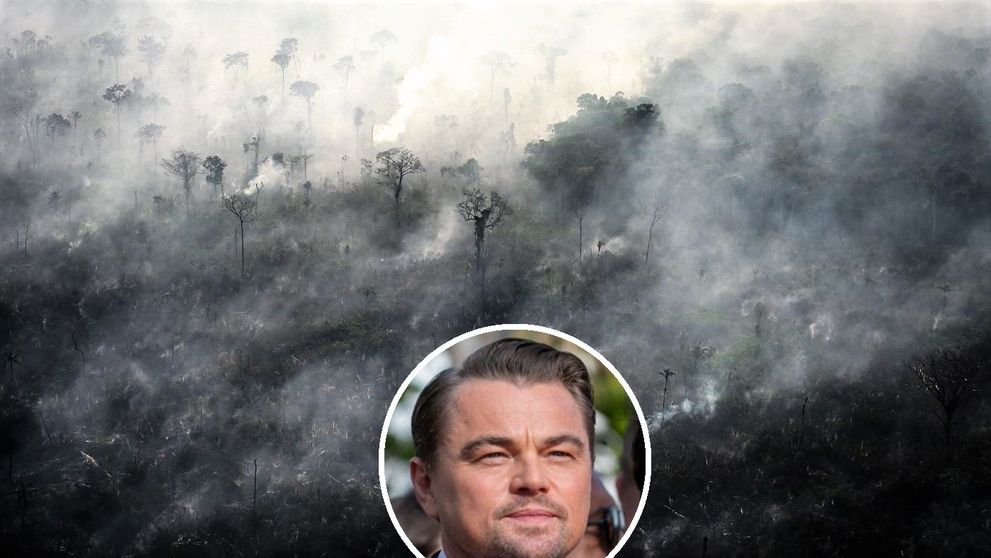 Leonardo DiCaprio promite un ajutor de 5 milioane de dolari pentru pădurea amazoniană