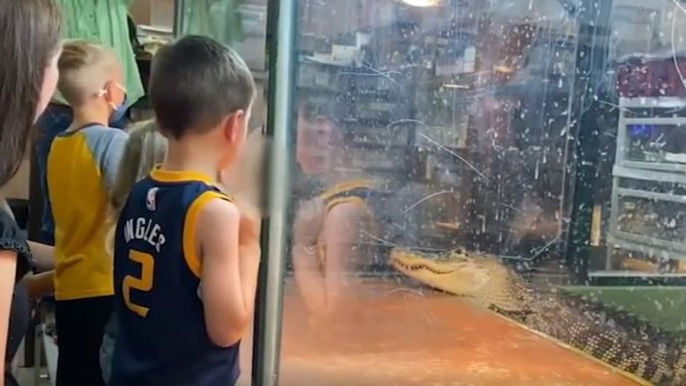 Un video cum un aligator atacă o femeie, devenit viral. Mai mulți copii au fost martori la scena înfiorătoare