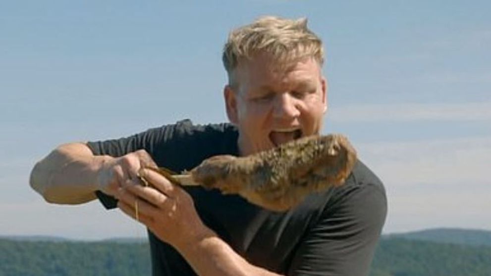 Gordon Ramsay, controversă uriașă după ce a ucis și a mâncat o capră în Noua Zeelandă