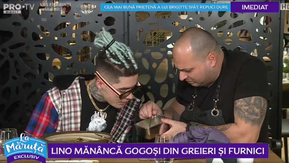 VIDEO Lino Golden mănâncă gogoși din greieri și furnici