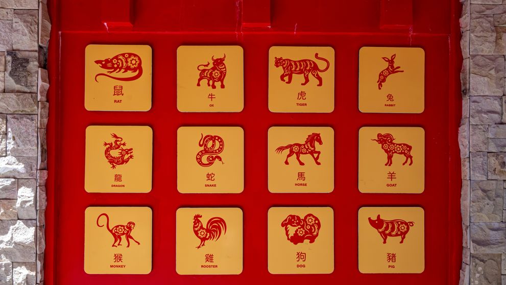 Vrei noroc și prosperitate? Aceste 3 semne zodiacale chinezești vor avea parte de ele toată săptămâna! Cine sunt favoriții astrelor în perioada 2-8 martie 2026