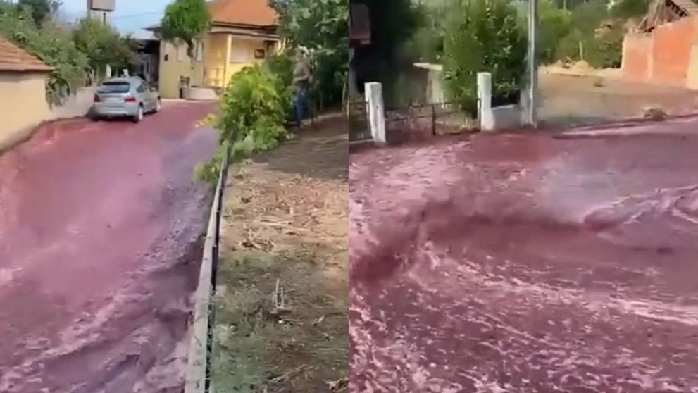Peste două milioane de litri de vin roșu au inundat un oraș din Portugalia, după ce rezervoarele în care era ținut au cedat