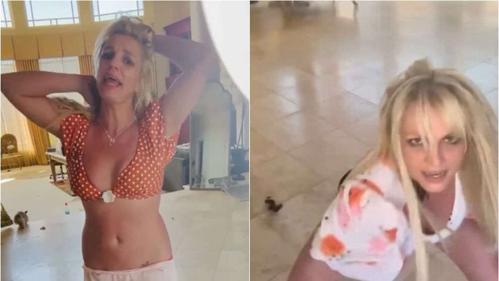 Britney Spears, dans provocator într-o casă plină de mizerie! Fanii au observat că vedeta nu a strâns după ce câinii și-au făcut nevoile prin casă