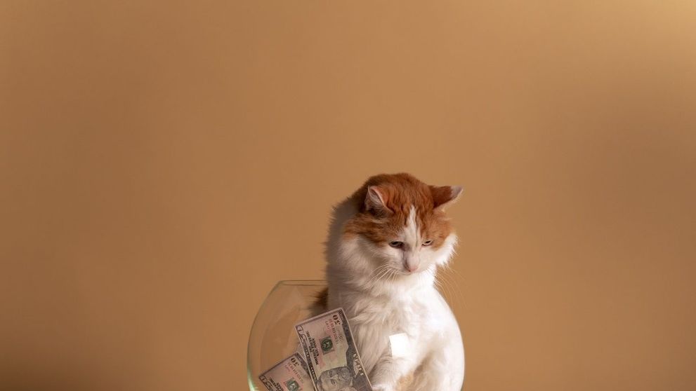 (P) Cum să economisiți bani cu ajutorul microcreditelor