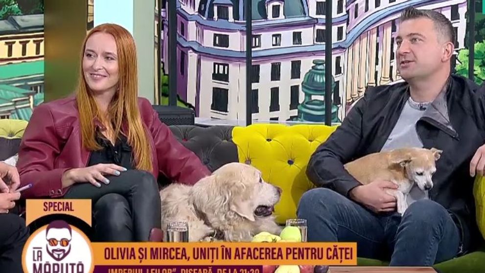Mircea Căpățînă și Olivia Pamfil, uniți în afacerea pentru căței! Cât costă ca un câine să fie tratat regește