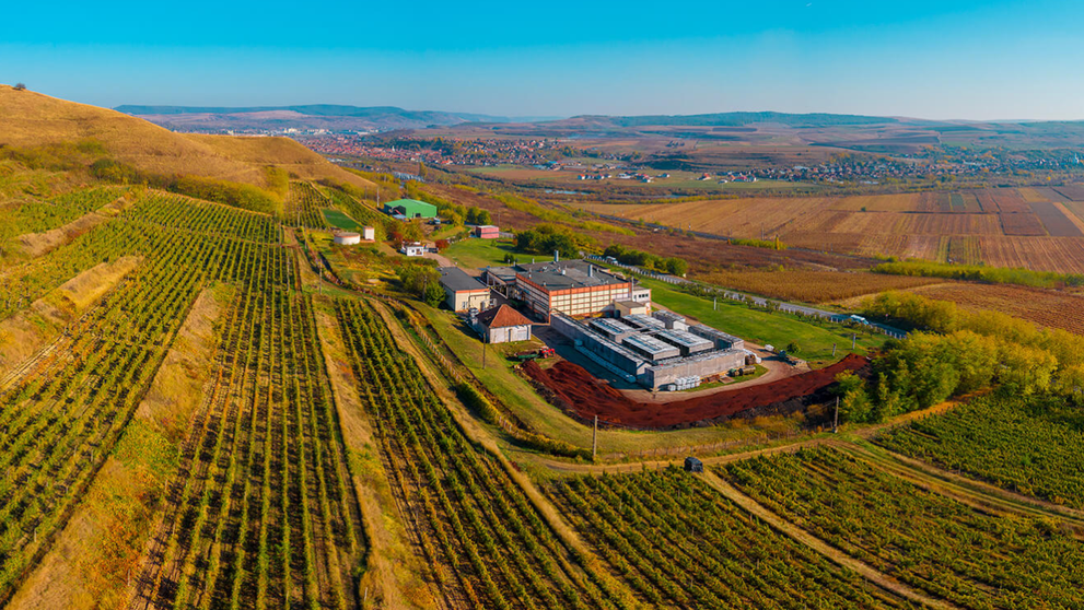 Wine Trips România | Lecția de „spumante” în patria vinului alb, Jidvei