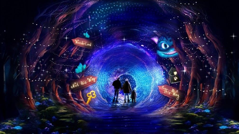 Număr impresionant de vizitatori la expoziția „Grădina Luminilor”, organizată în Grădina Botanică „Dimitrie Brandza” a Universității din București
