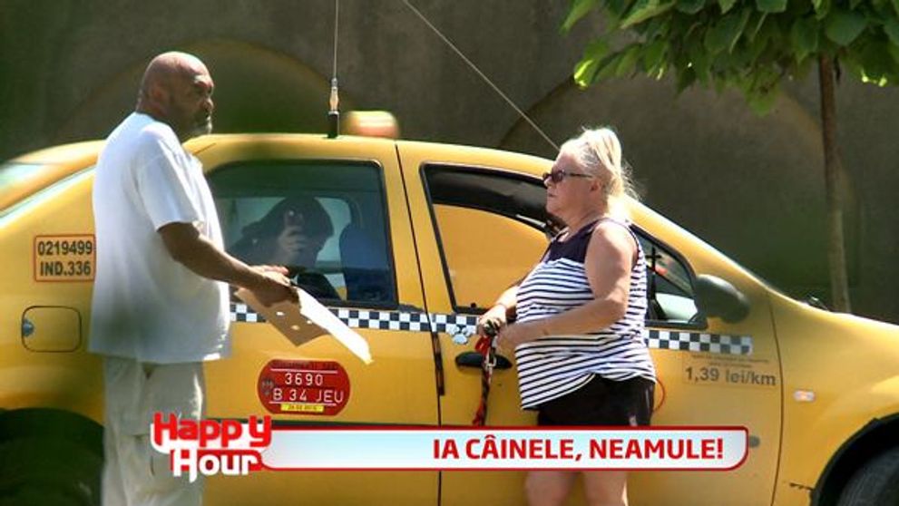 Mirabela Dauer ar face orice pentru cainii ei! L-a snopit in bataie pe barbatul care a vrut sa ii fure animalele de companie. VIDEO