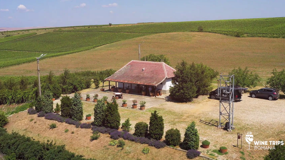 Wine Trips România | Descoperind Oltenia profundă la Crama Oprișor